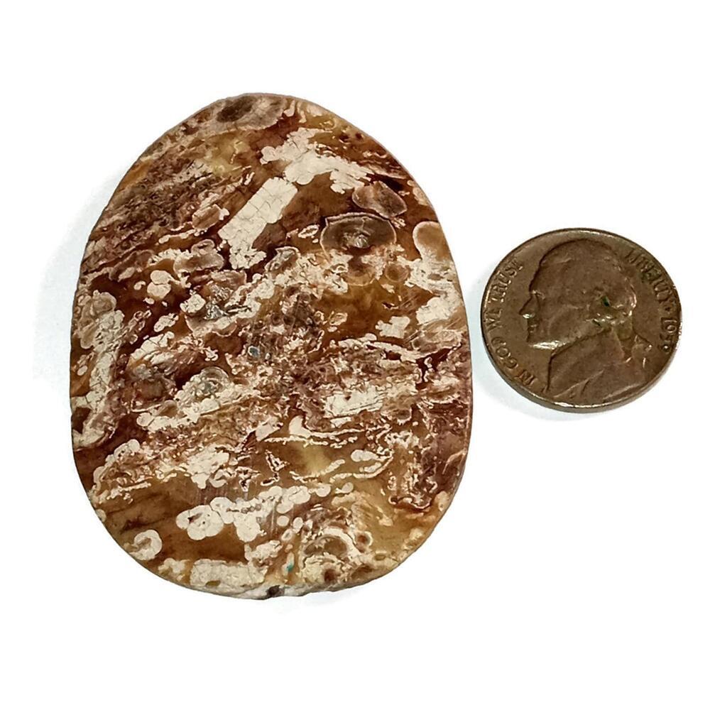 Large  Mushroom Jasper Gemstone Pendant